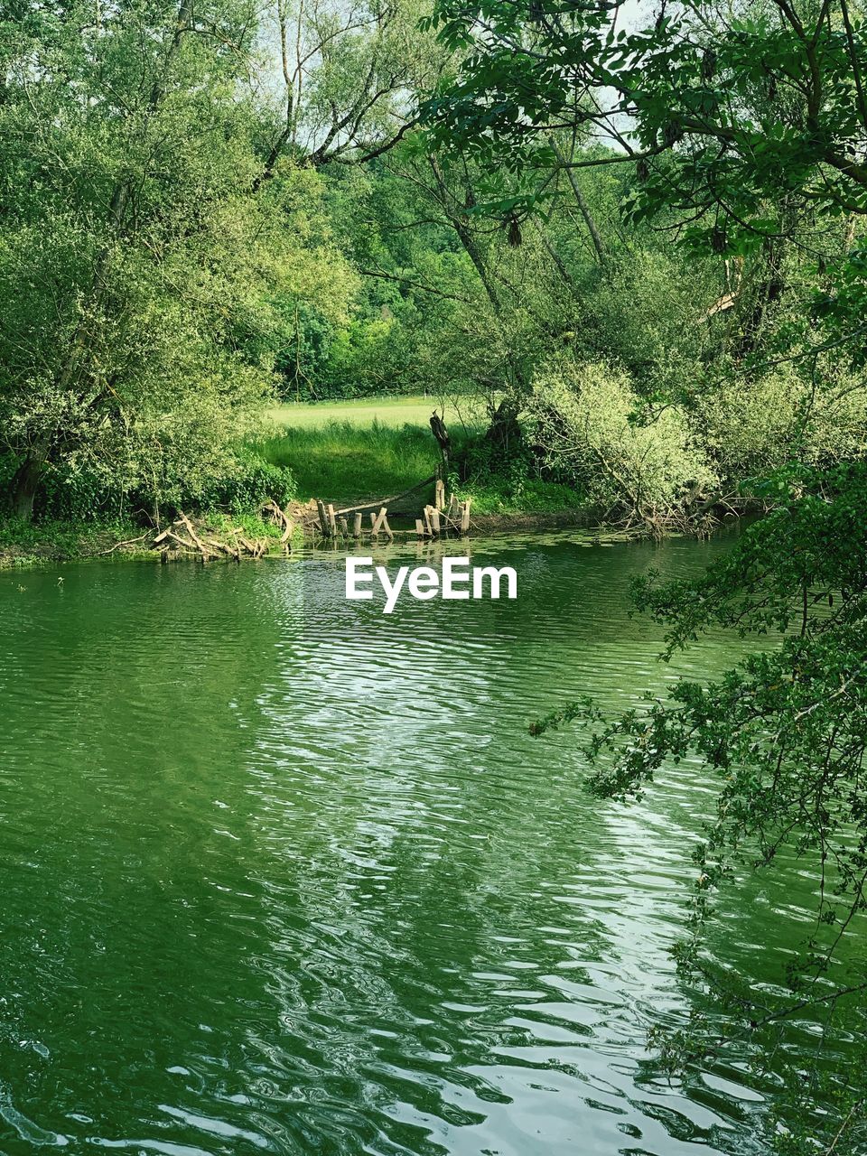 VIEW OF A LAKE