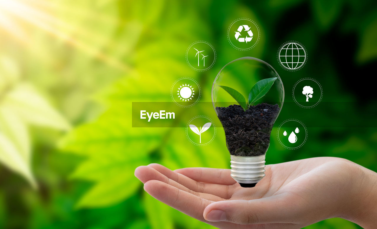 Digital composite image of person holding light bulb and plant