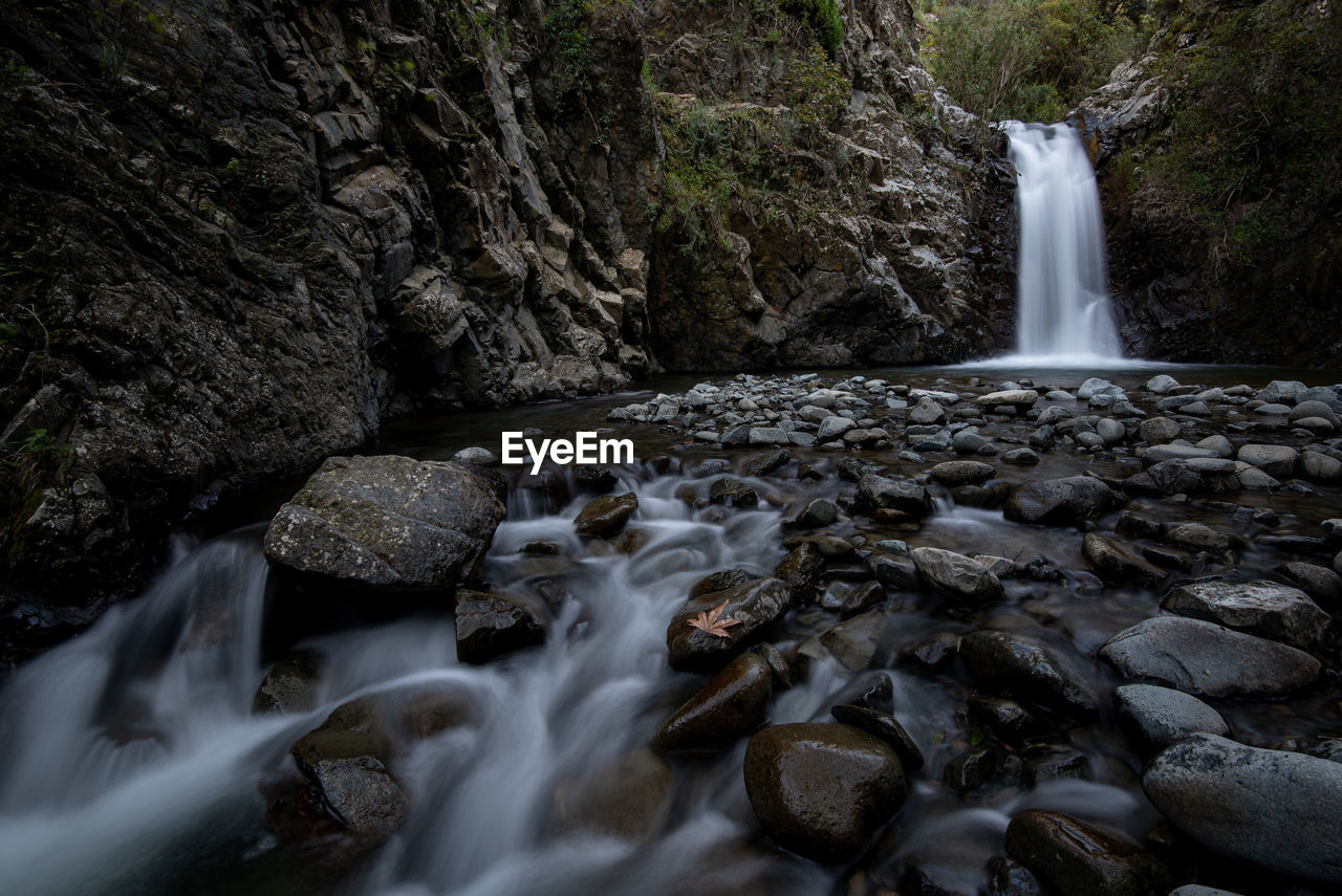 Stream flowing through rocks in forest