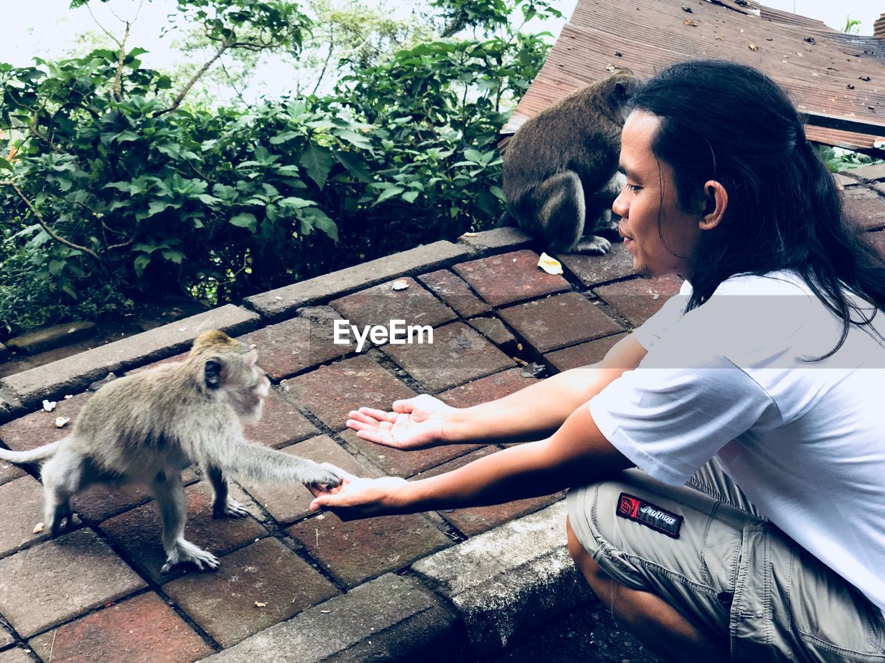 High angle view of man feeding monkey on footpath