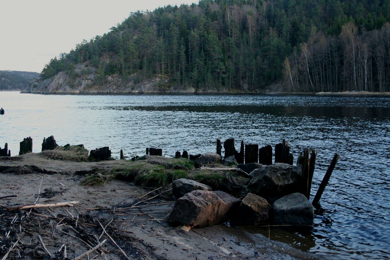 SCENIC VIEW OF LAKE AND TREES AGAINST SKY