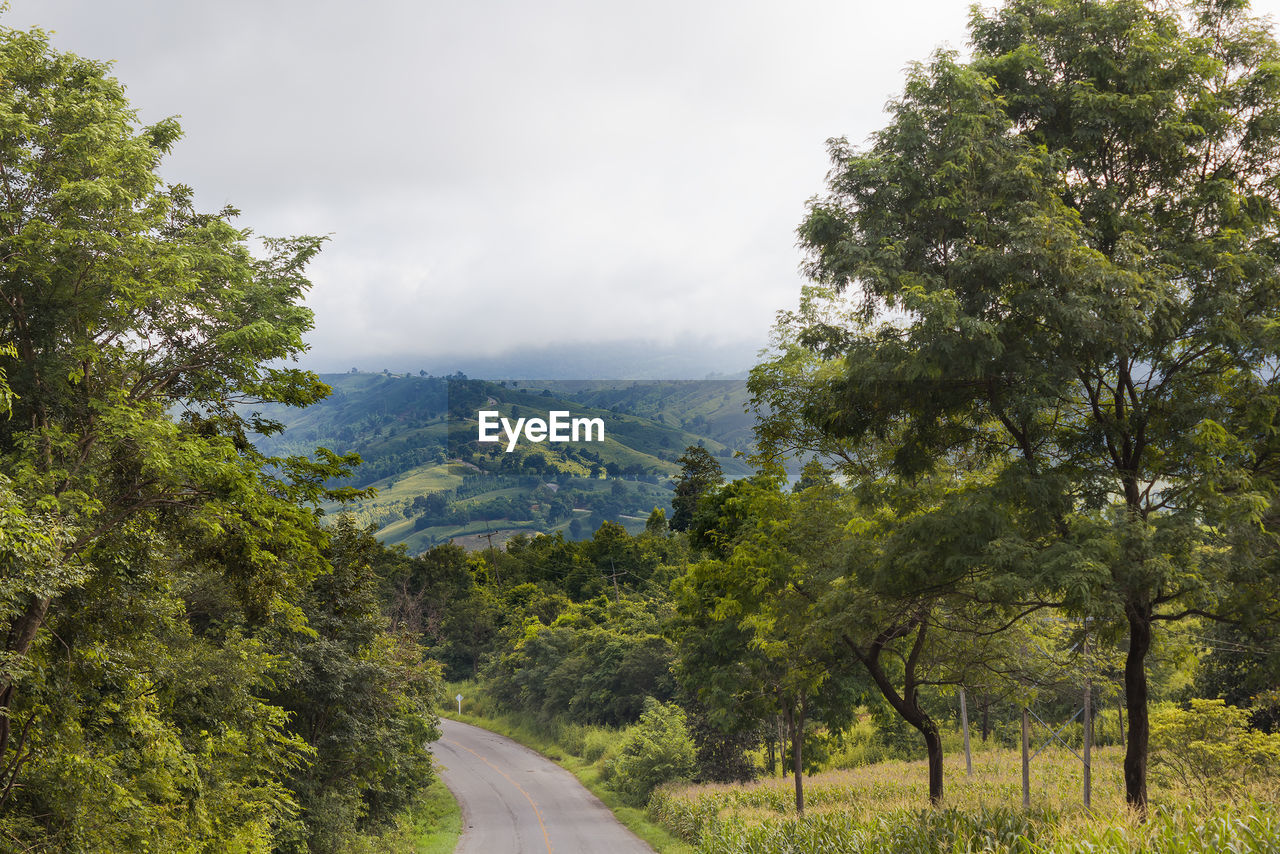 ROAD BY TREES ON MOUNTAIN AGAINST SKY