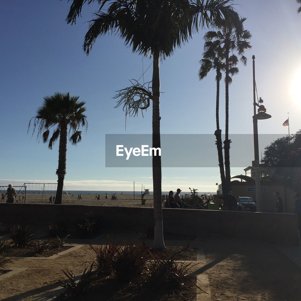 PALM TREES BY BEACH AGAINST CLEAR SKY