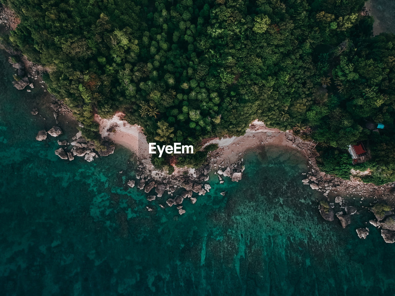Aerial view of sea by forest