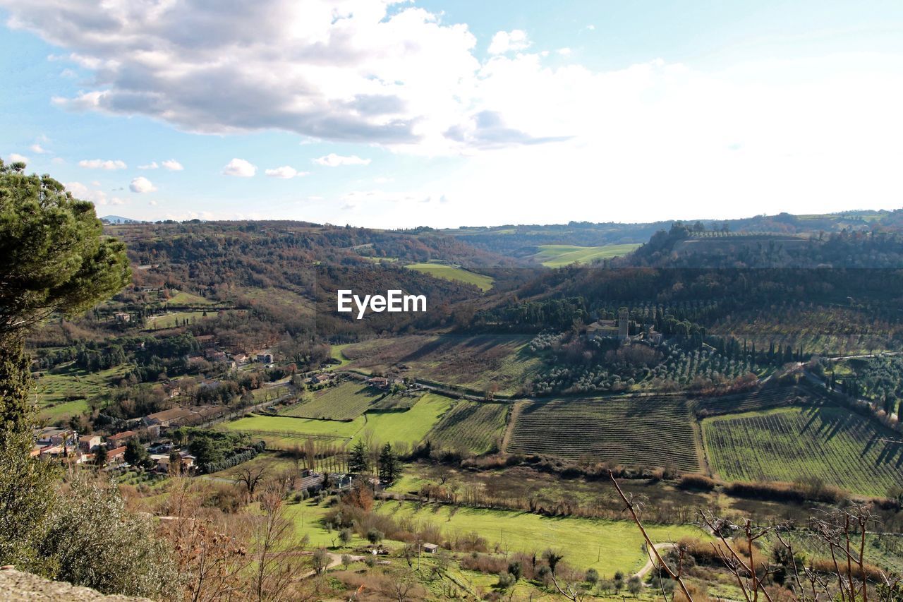 SCENIC VIEW OF AGRICULTURAL LANDSCAPE AGAINST SKY