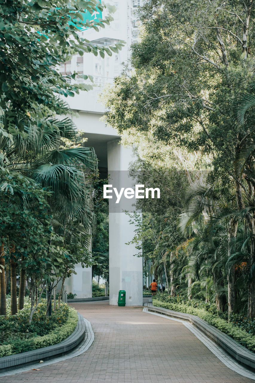 STREET AMIDST TREES AND PLANTS