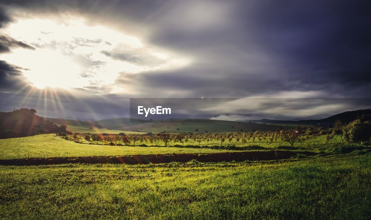 VIEW OF FIELD AGAINST SKY