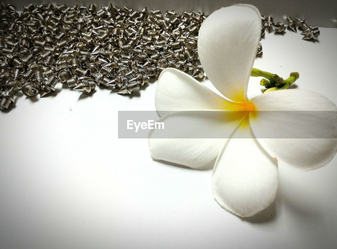 Close-up of frangipani and nails on table