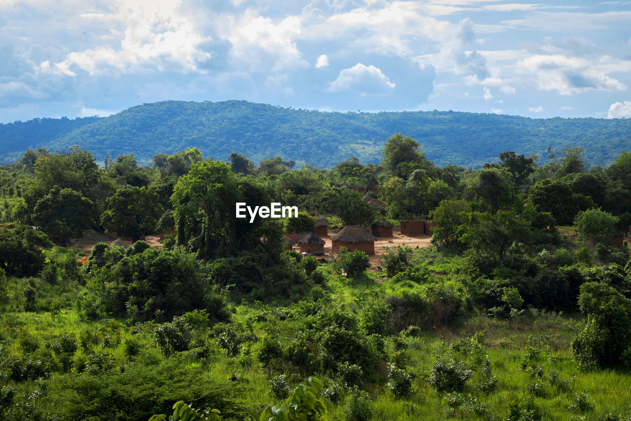 Scenic view of tree mountains against sky