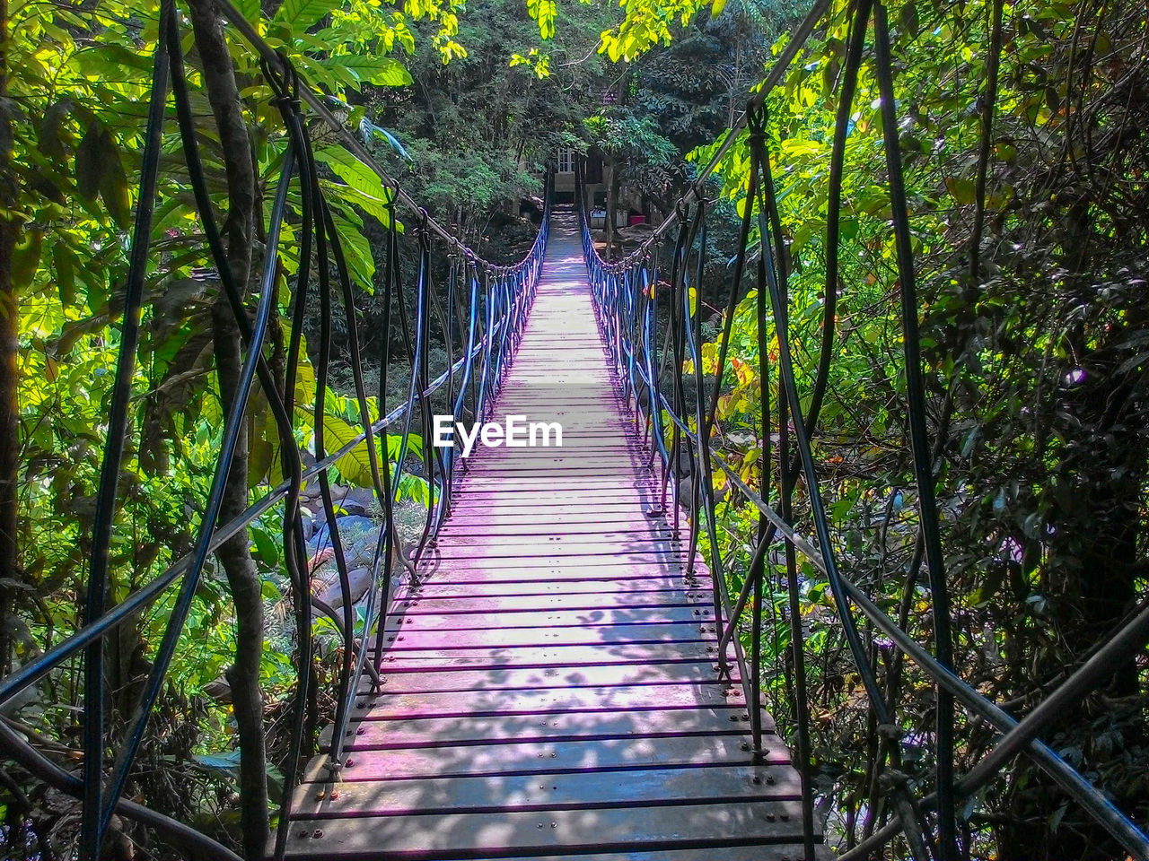 VIEW OF WOODEN FOOTBRIDGE