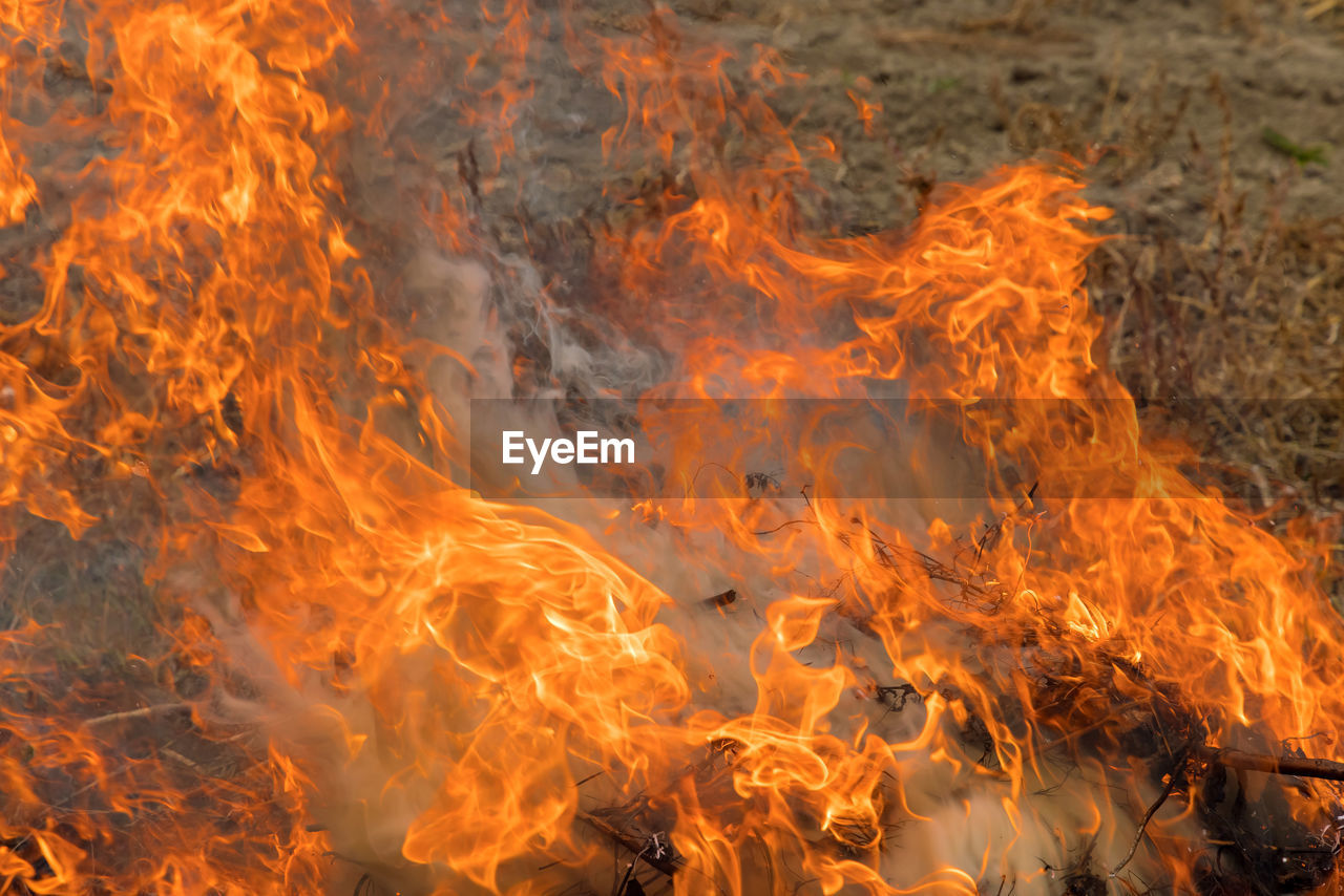 CLOSE-UP OF BONFIRE WITH FIRE CRACKERS