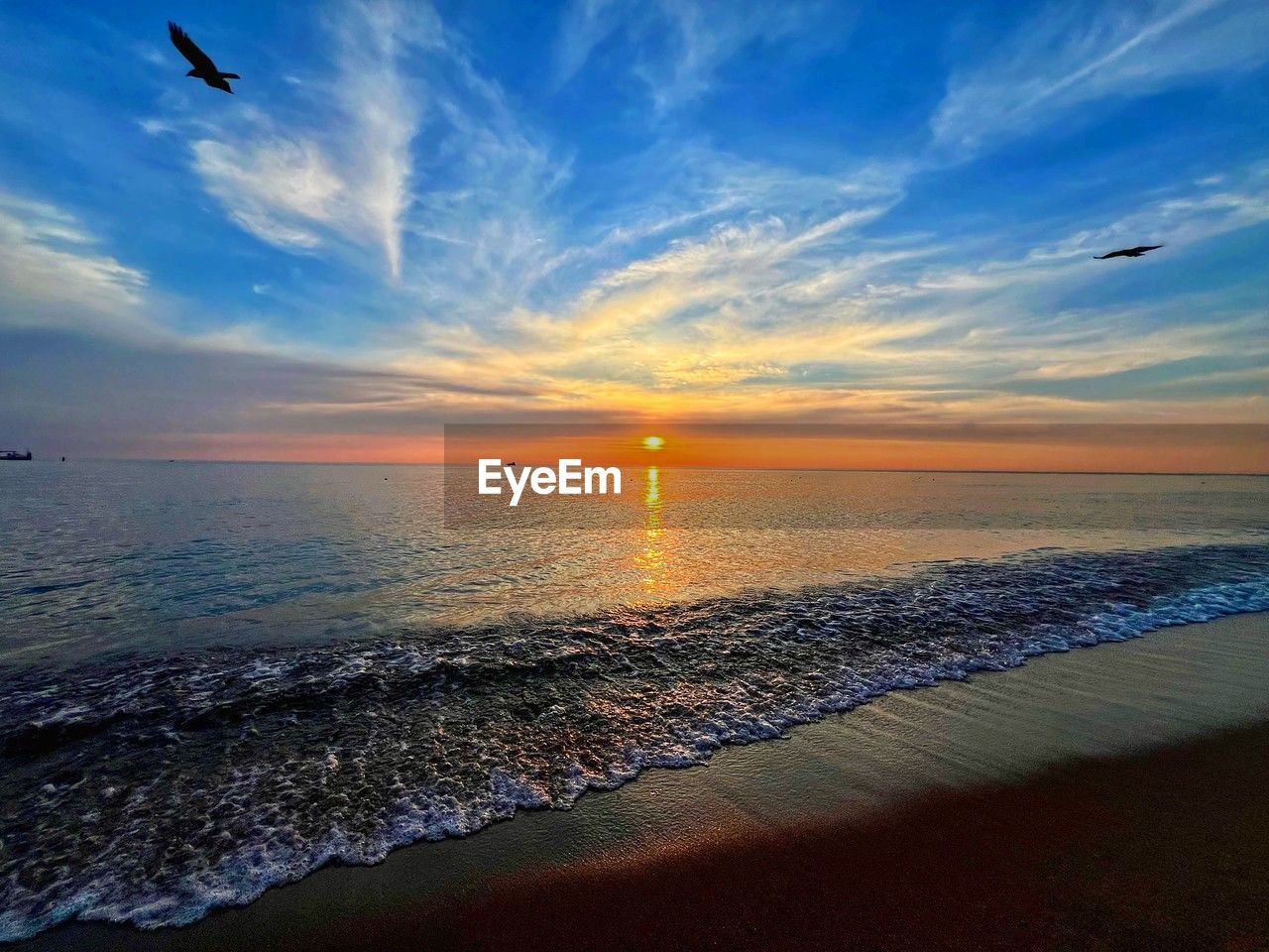 sky, sea, water, sunset, horizon, land, beach, beauty in nature, ocean, cloud, scenics - nature, nature, horizon over water, flying, shore, animal, motion, dawn, tranquility, sun, wave, coast, animal wildlife, animal themes, bird, travel destinations, tranquil scene, environment, wildlife, travel, seascape, wind wave, blue, sand, sunlight, body of water, vacation, evening, trip, no people, dramatic sky, idyllic, holiday, coastline, outdoors, landscape, afterglow, orange color, reflection, summer, urban skyline, tourism