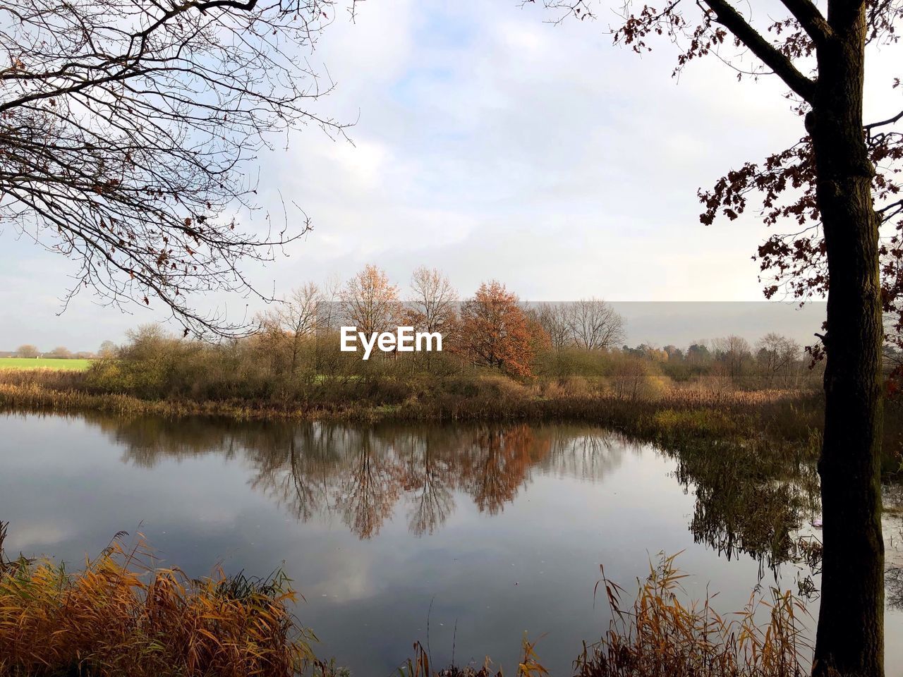 SCENIC VIEW OF LAKE BY TREES AGAINST SKY