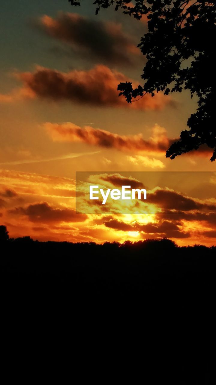 SCENIC VIEW OF SILHOUETTE ORANGE SKY