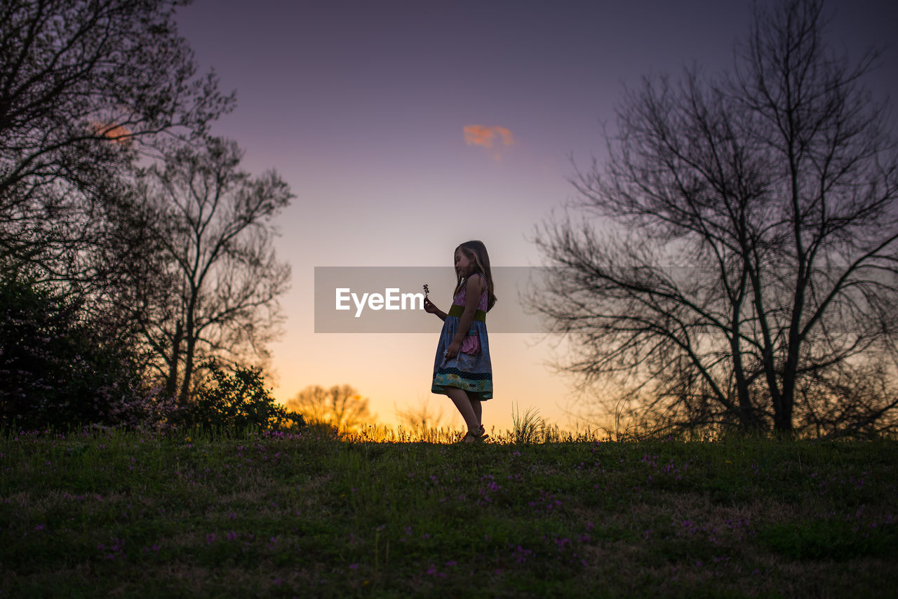 Little girl holding flower silohette long hair summer evening sunset