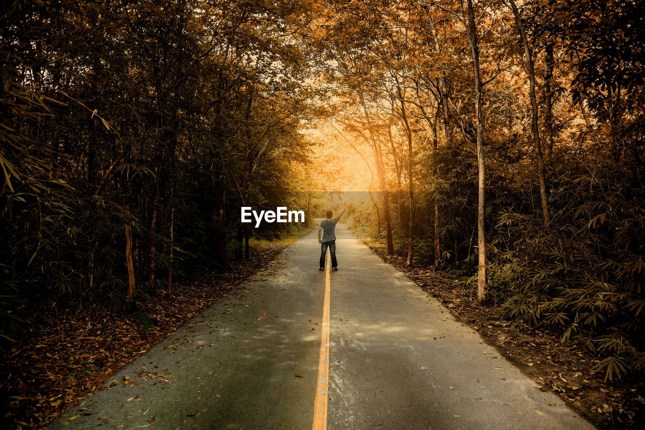 Rear view of man standing on road amidst trees during autumn