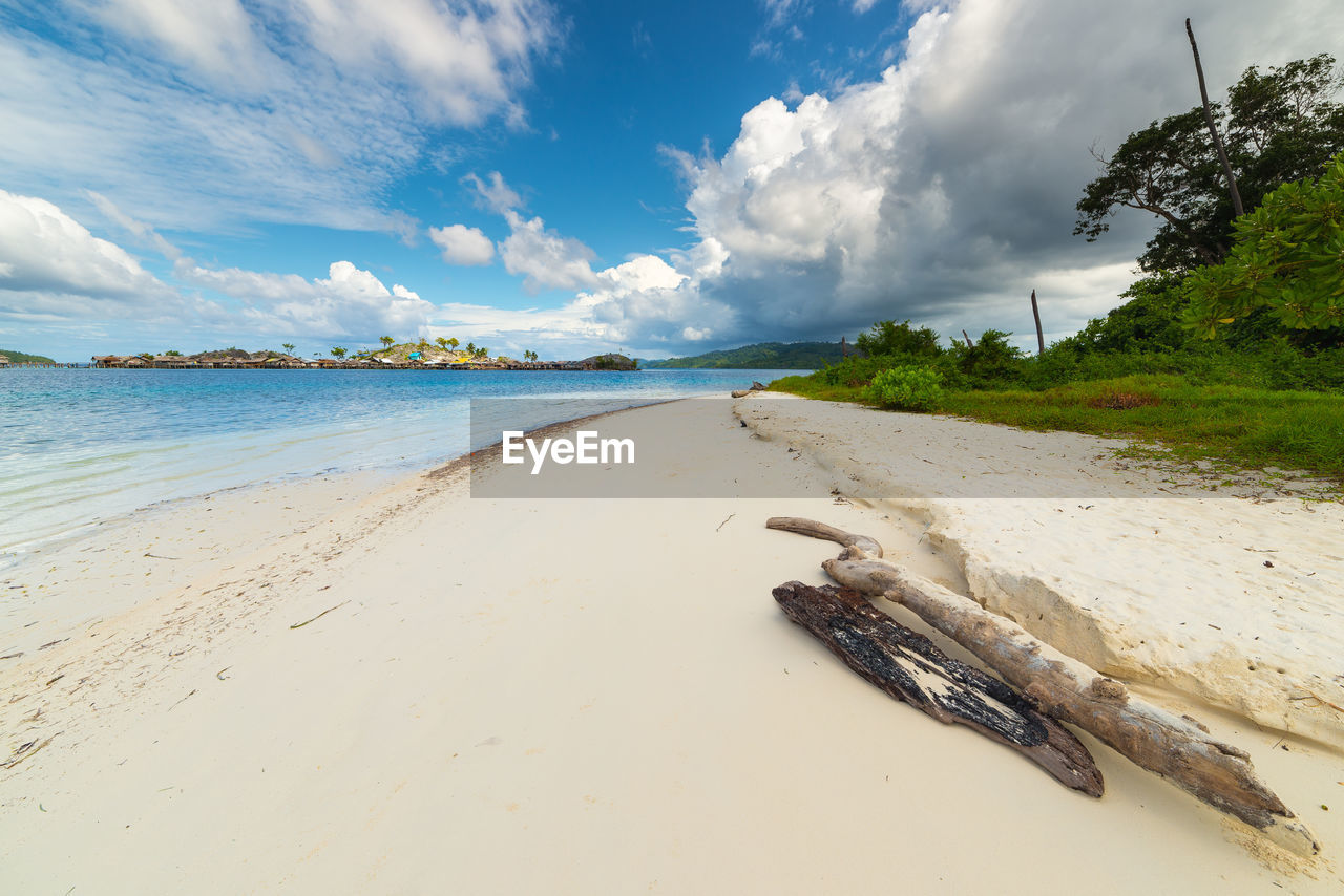 Driftwood at beach against cloudy sky