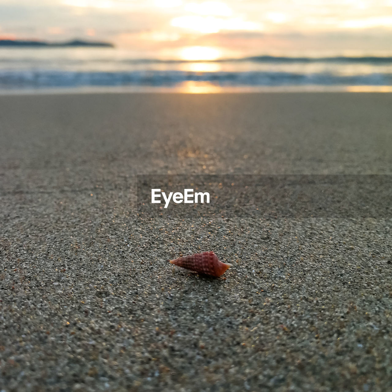 SURFACE LEVEL OF PEBBLE ON BEACH AGAINST SKY