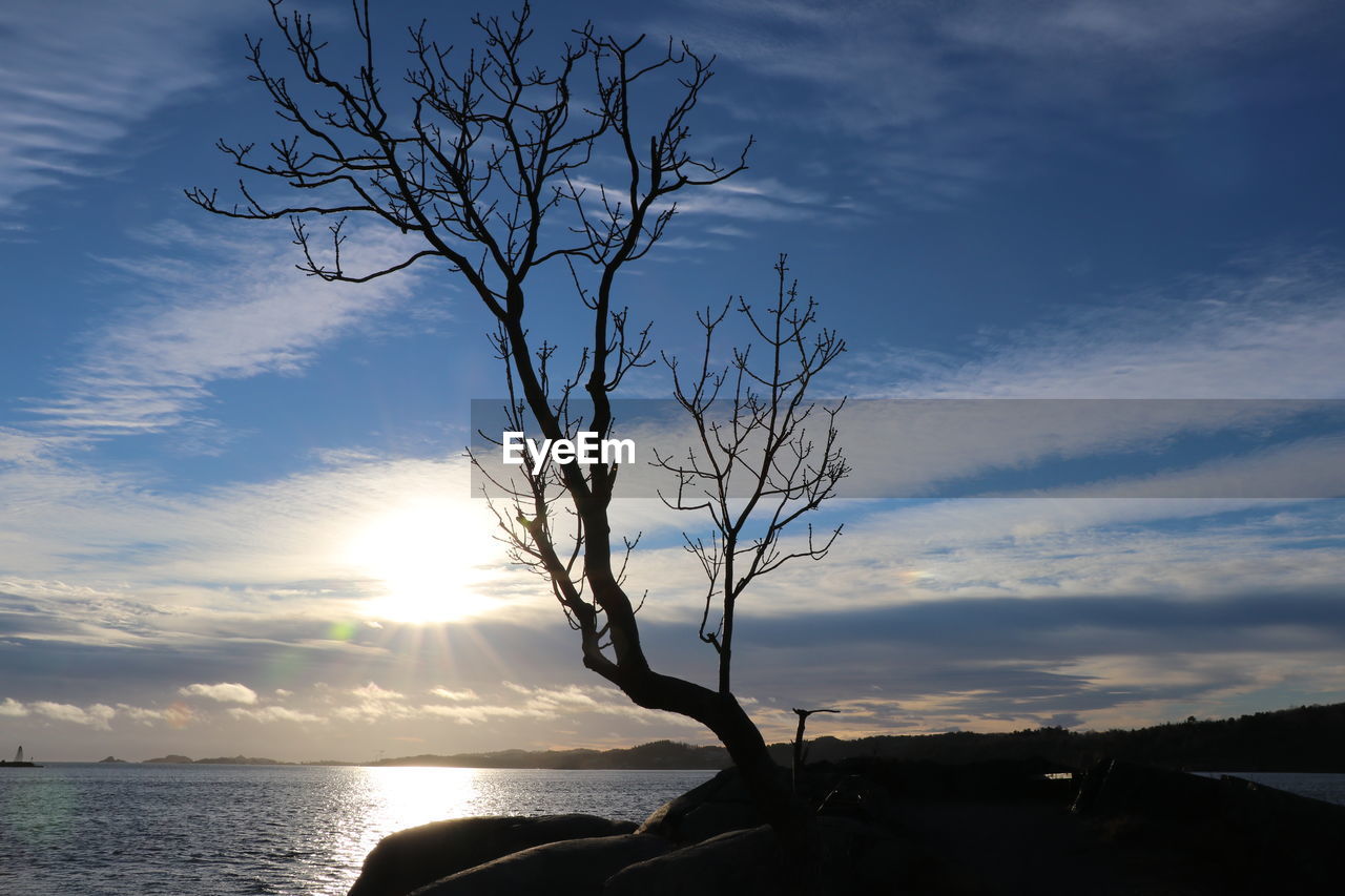 Silhouette bare tree by sea against sky during sunset