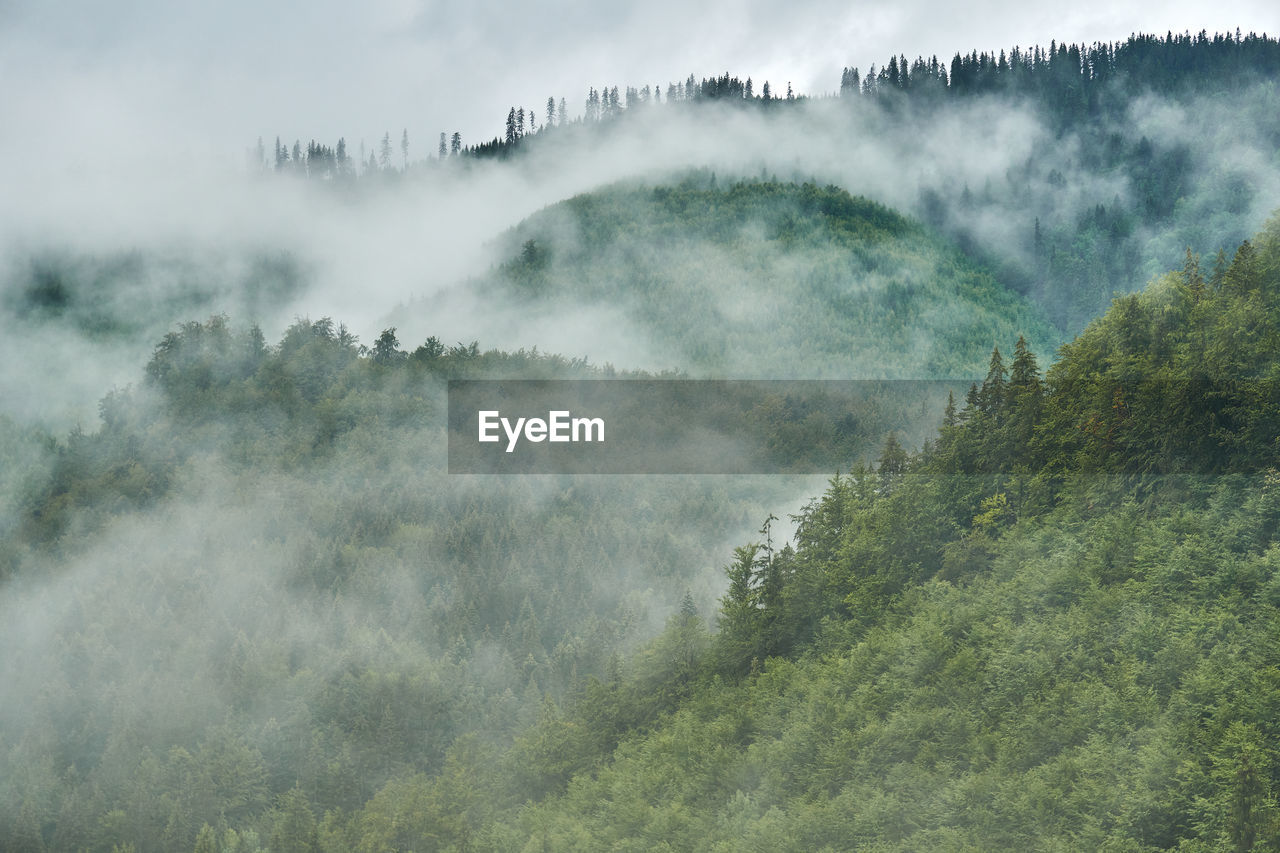 Cloudy day in the mountains