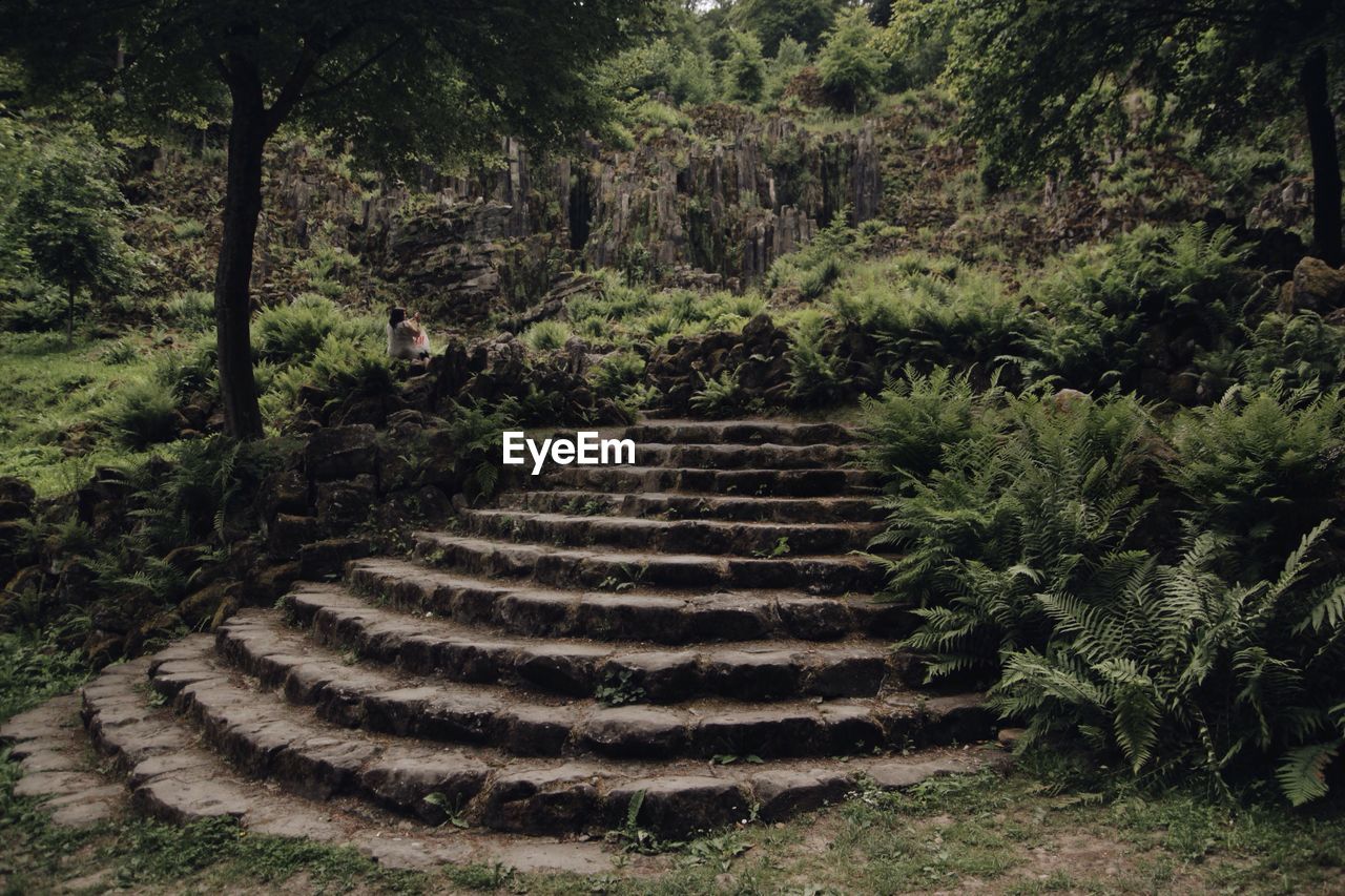 HIGH ANGLE VIEW OF STEPS LEADING TOWARDS TREES