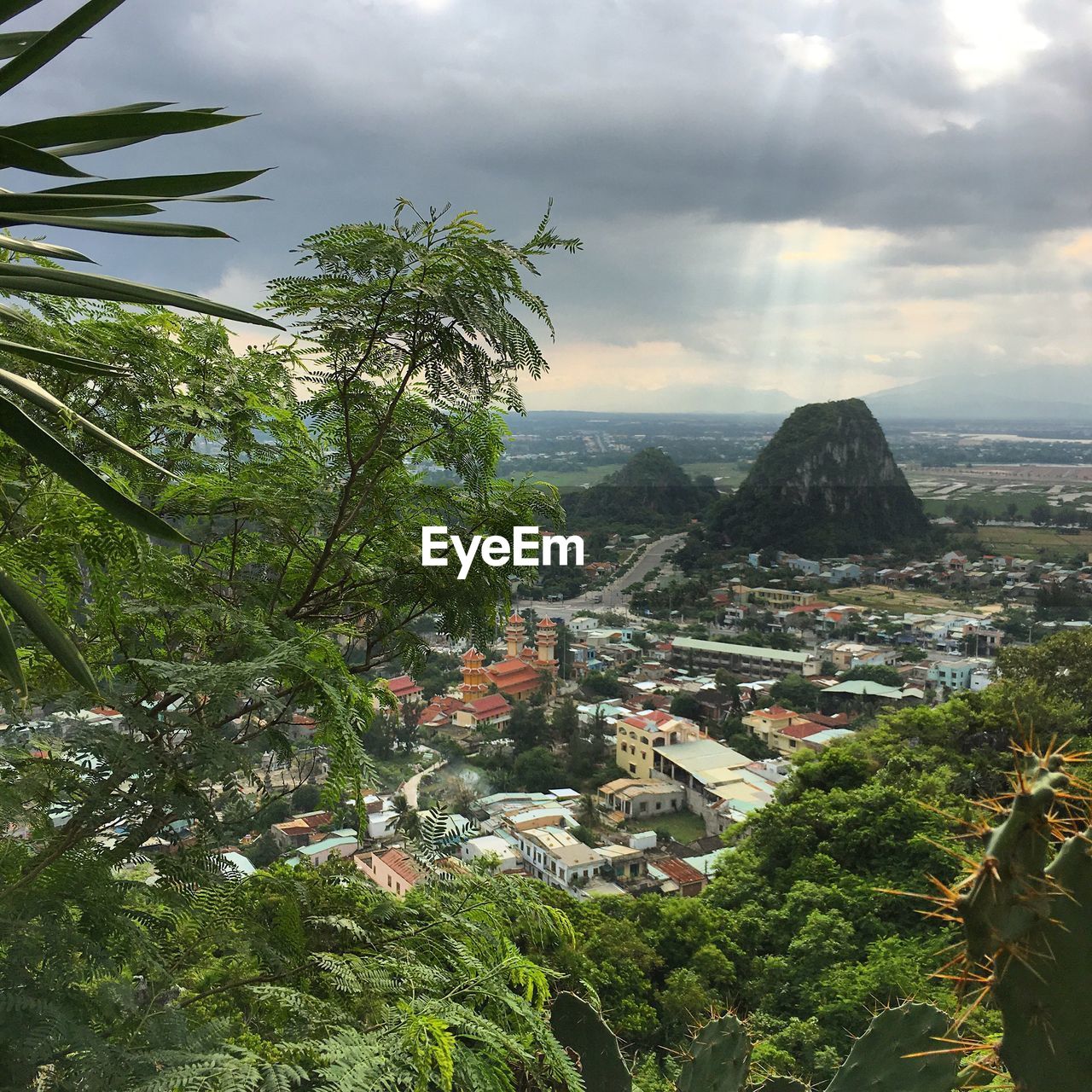 HIGH ANGLE VIEW OF TREES AND BUILDINGS