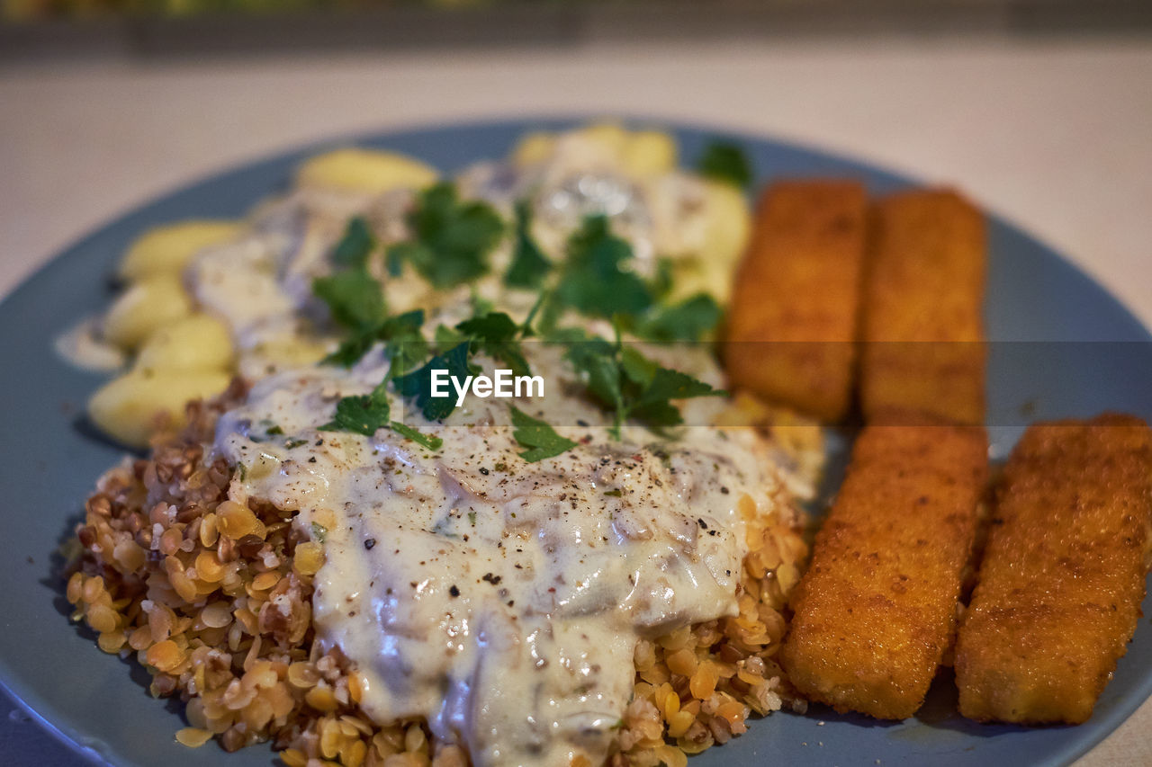 CLOSE-UP OF FOOD SERVED ON PLATE