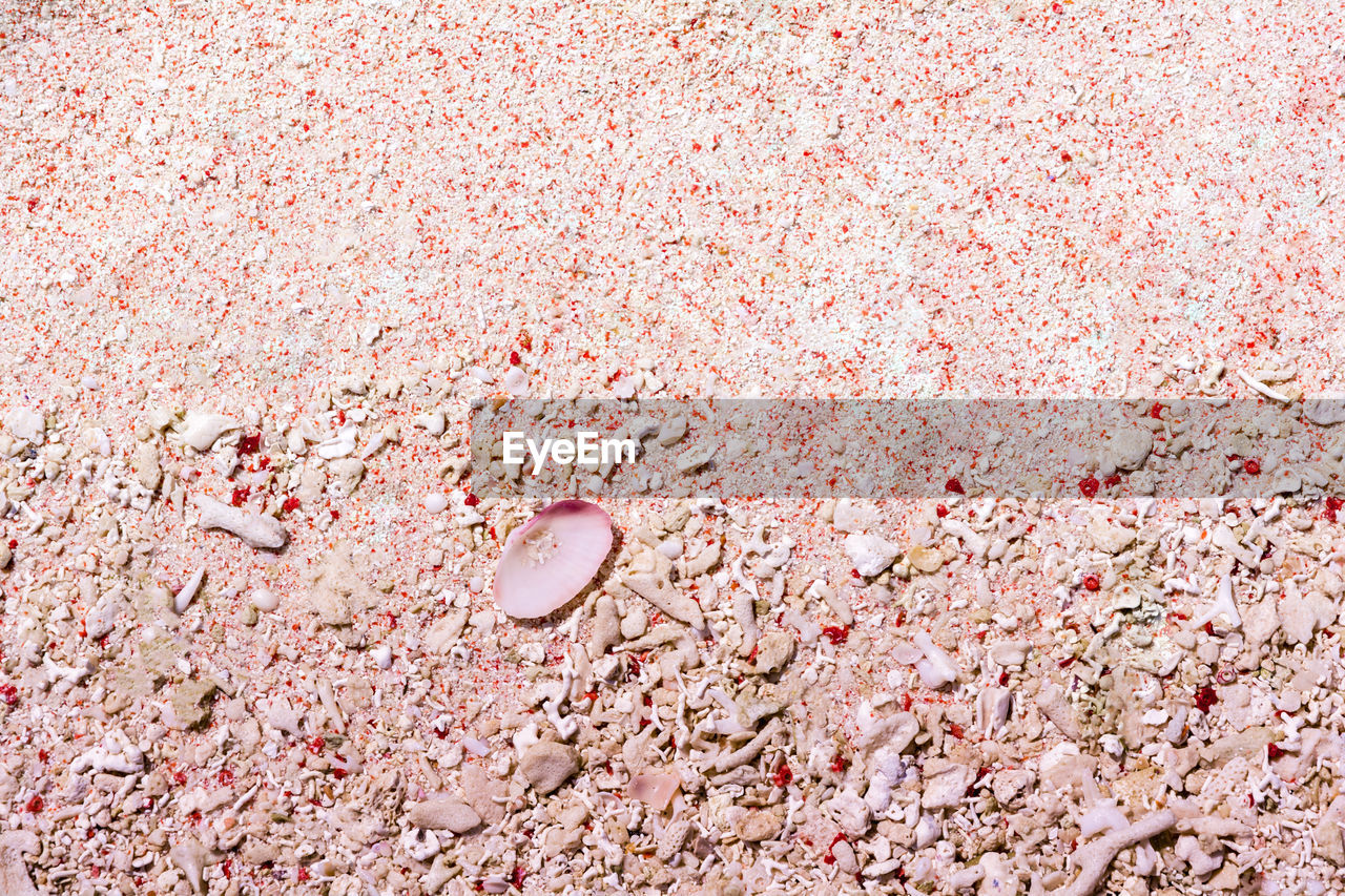 HIGH ANGLE VIEW OF PINK PETALS ON BEACH