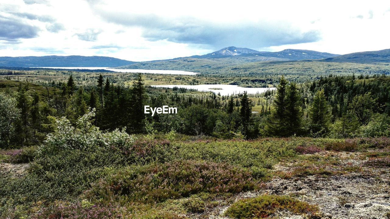 Scenic view of mountains against cloudy sky