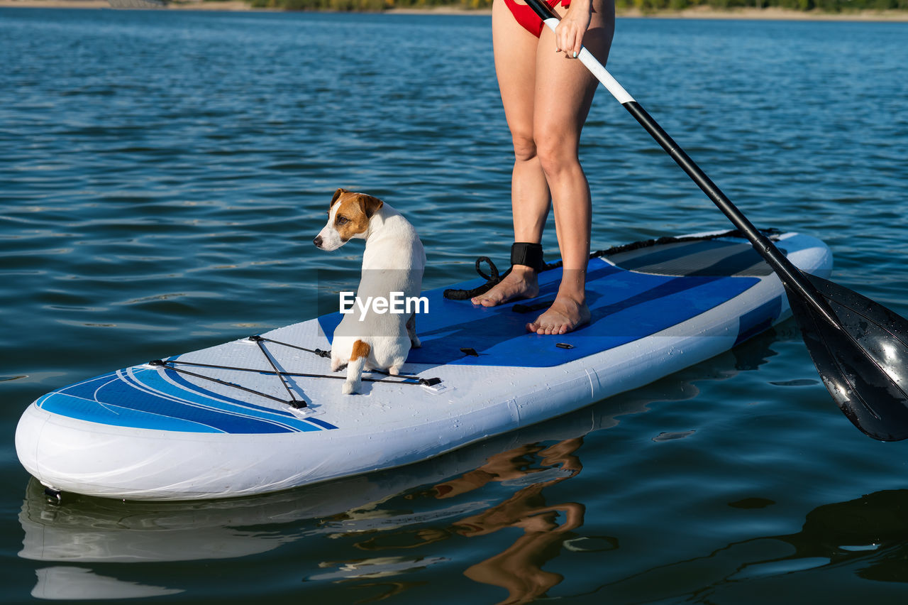 rear view of man in boat in lake