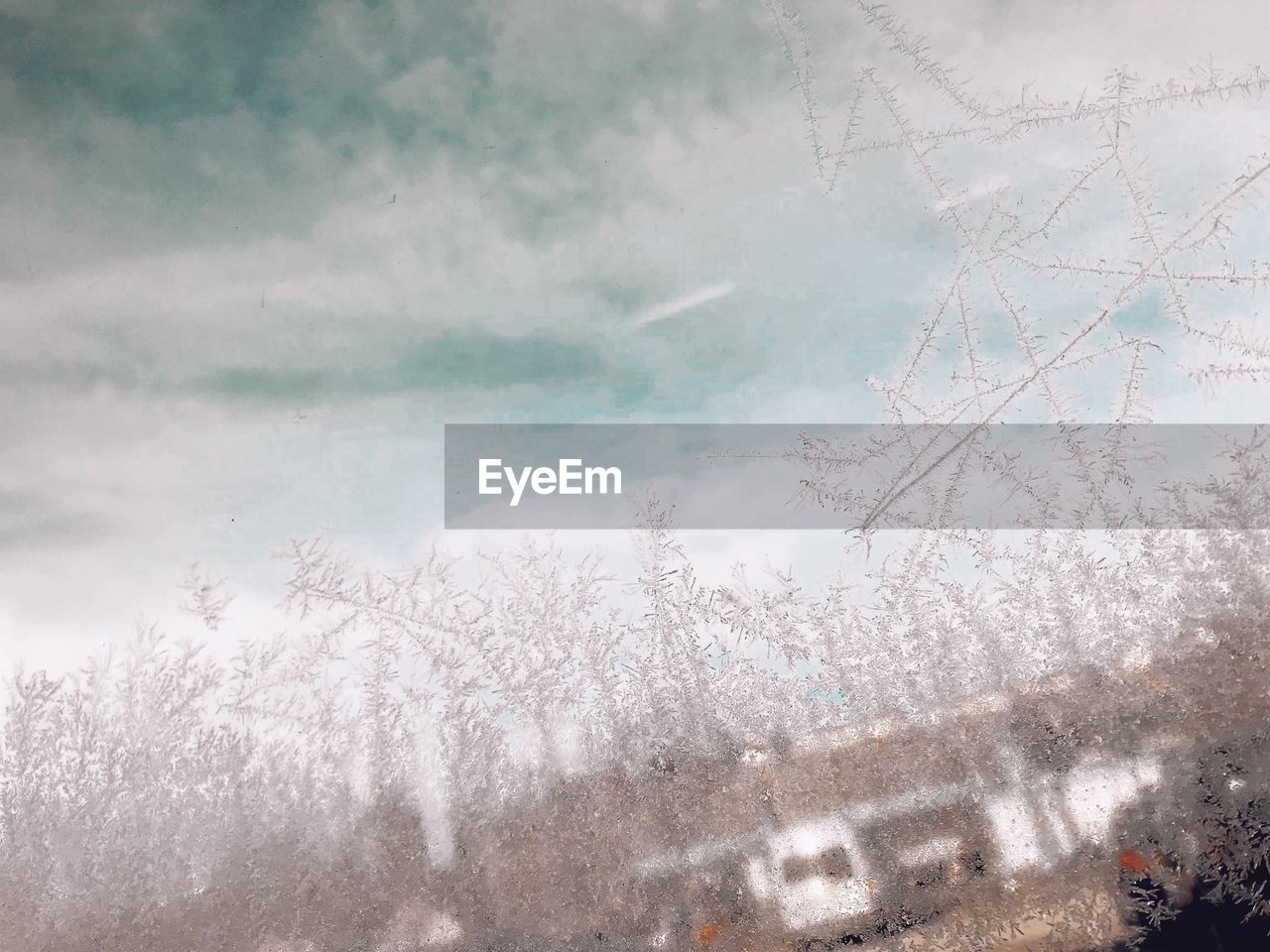 LOW ANGLE VIEW OF FROZEN PLANT AGAINST SKY