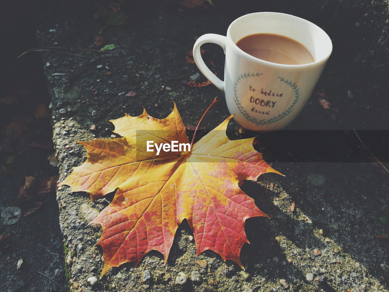 CLOSE-UP OF MAPLE LEAF ON COFFEE