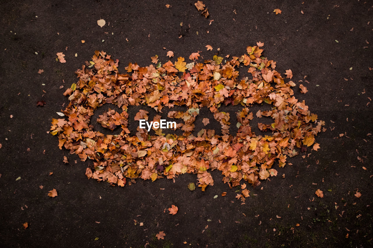 High angle view of text made from autumn leaves on footpath