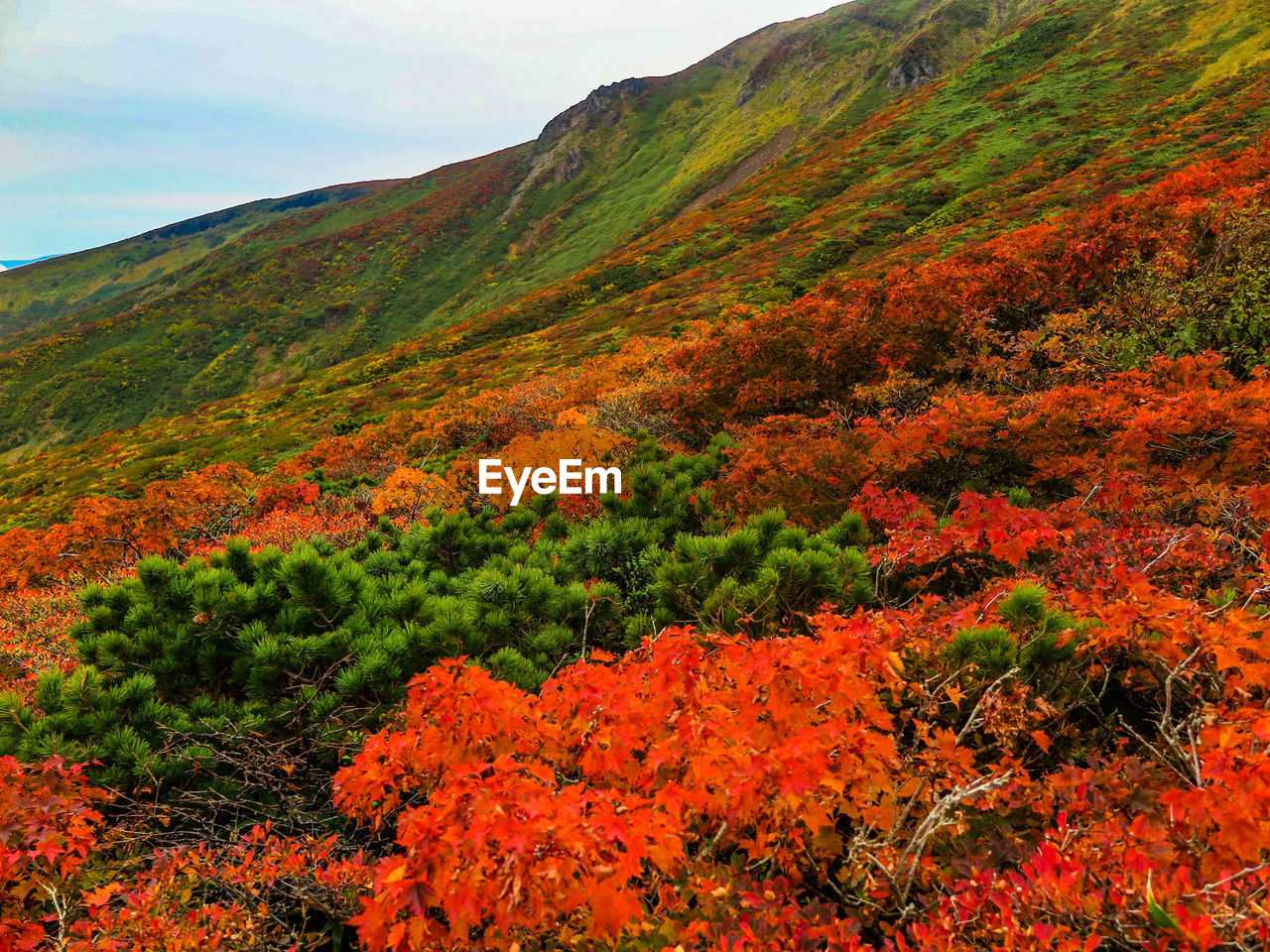 Scenic view of mountains during autumn