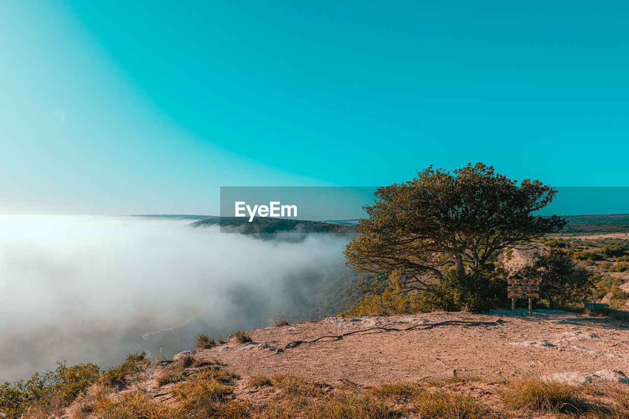 Scenic view of landscape against clear blue sky with the tree, mist and cliff edge