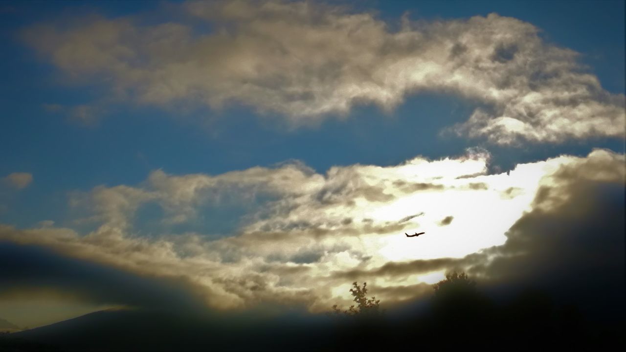 LOW ANGLE VIEW OF SILHOUETTE BIRD FLYING AGAINST SKY DURING SUNSET