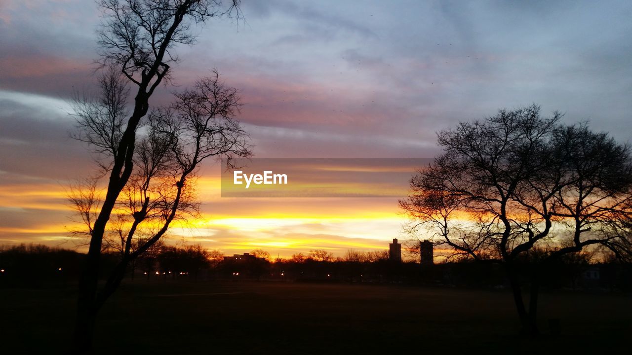 Silhouette trees on field against sky during sunset