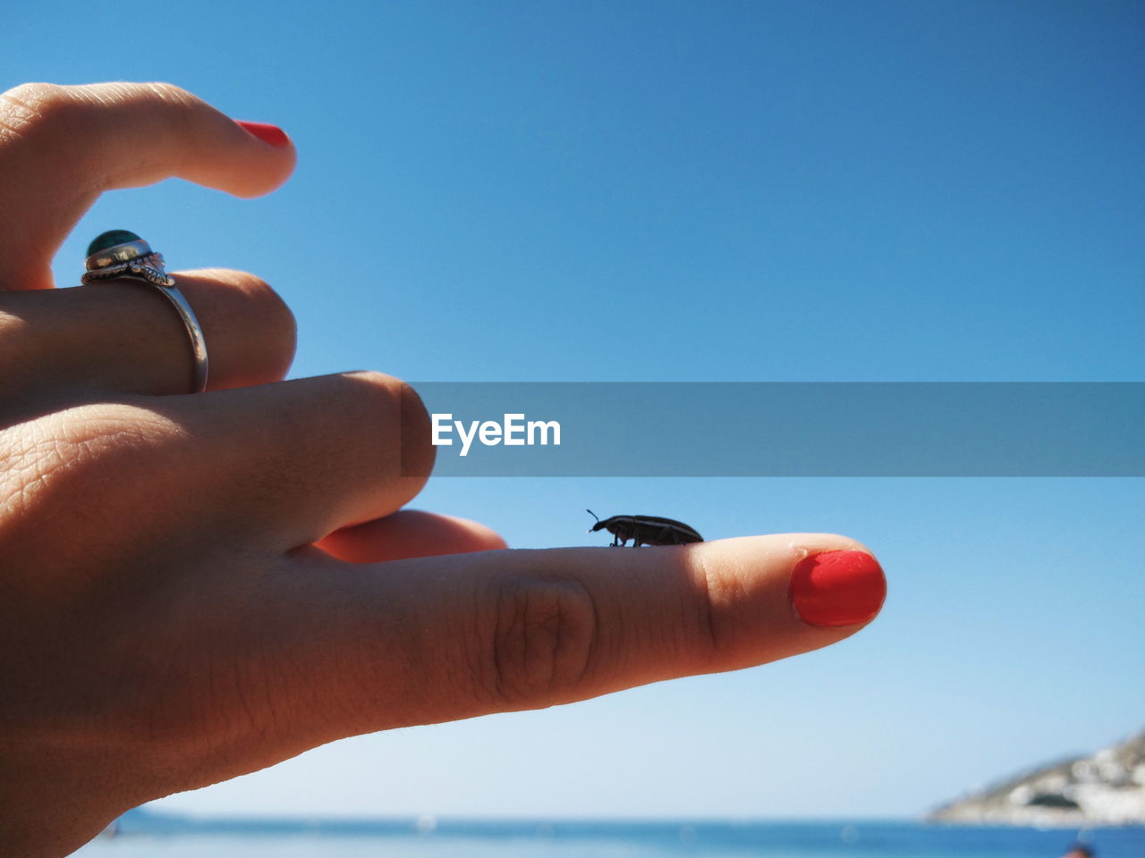 Cropped hand with insect by sea against clear sky