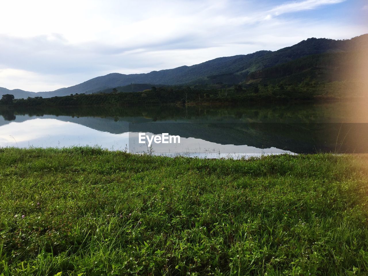 SCENIC VIEW OF GREEN LANDSCAPE AGAINST SKY