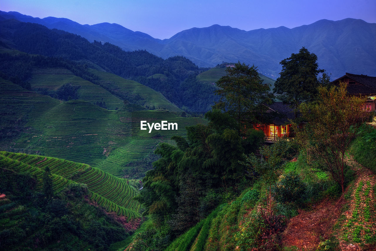 Scenic view of agricultural landscape against sky