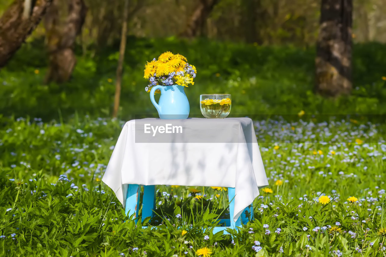 plant, flower, flowering plant, green, yellow, nature, grass, freshness, meadow, lawn, no people, food and drink, field, outdoors, celebration, day, land, beauty in nature, springtime, plain, sunlight, summer, woodland, food, daffodil, focus on foreground, white, tree, wedding, flower head