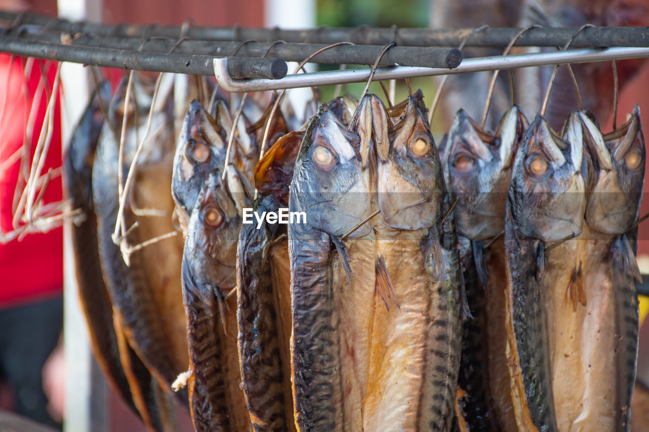 Dry smoked spiced mackerel fish in a fish market, ready to eat