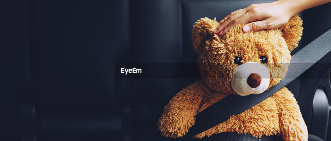 Brown teddy bear wearing car seat belt