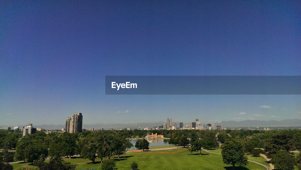 View of trees at city park against blue sky