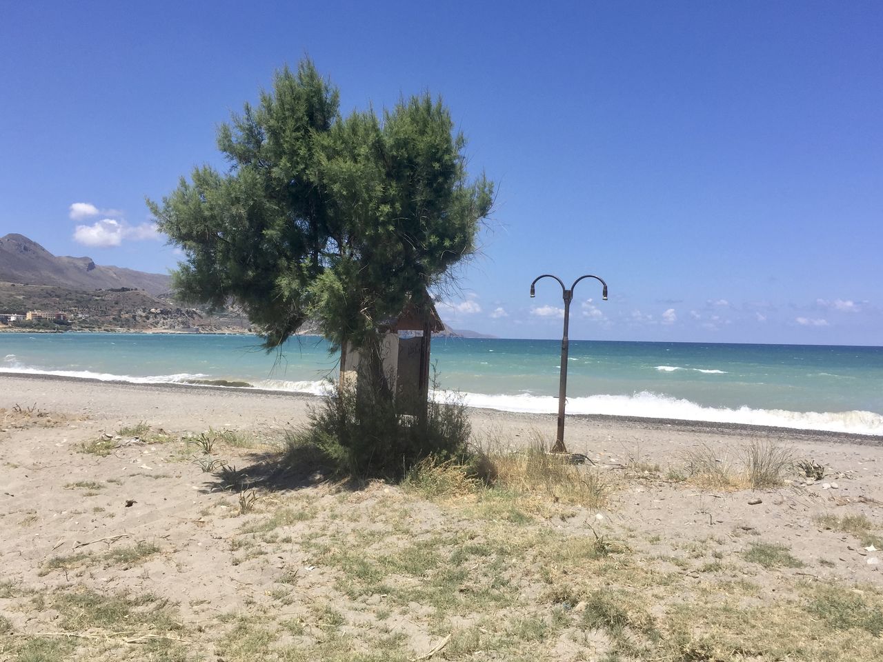 TREE ON BEACH AGAINST SKY