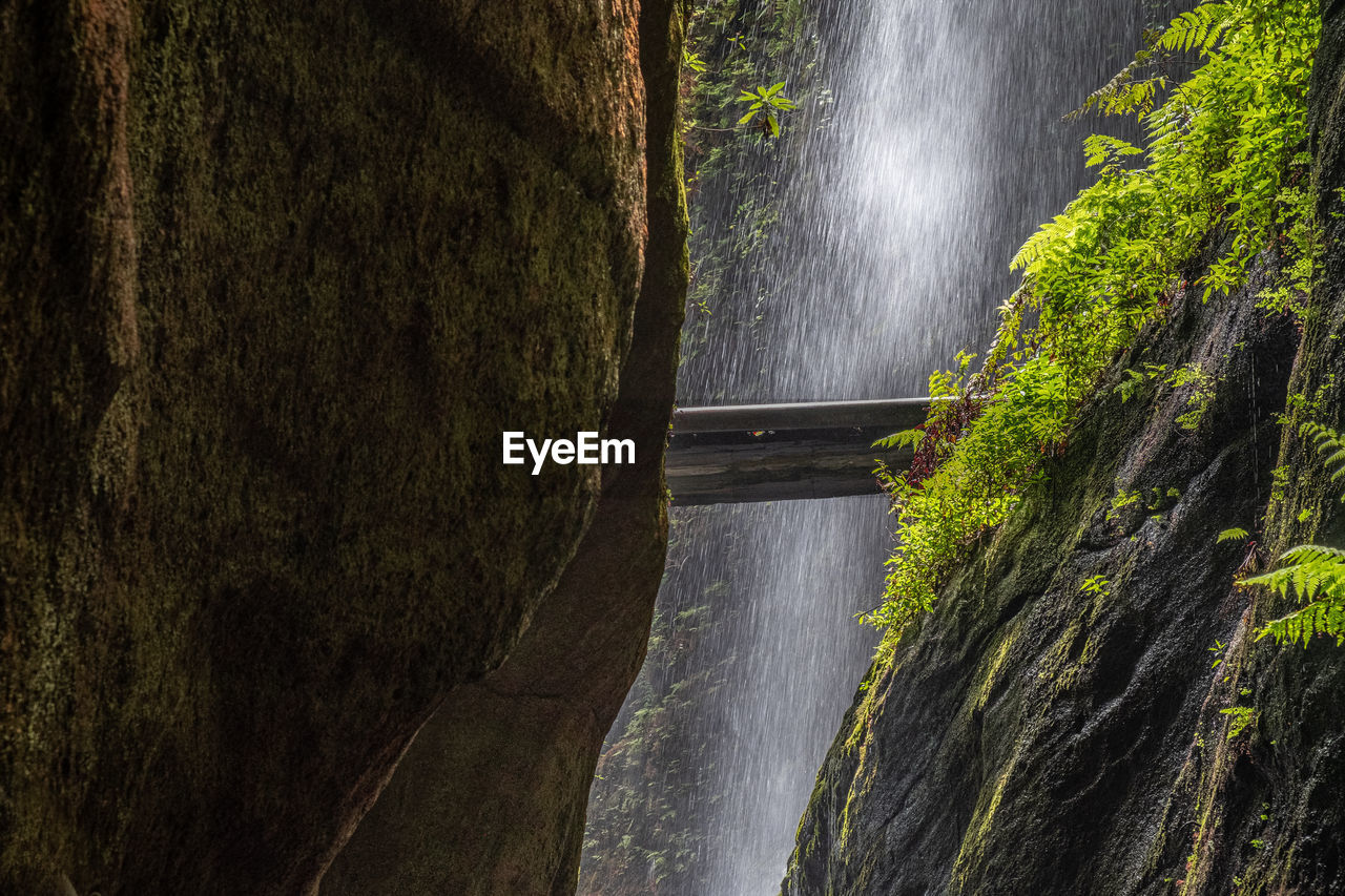 Scenic view of waterfall