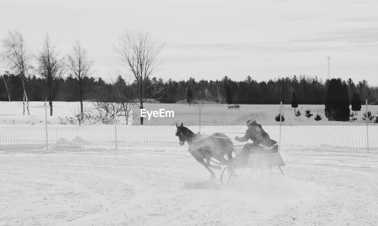 Person riding horse on snowy field