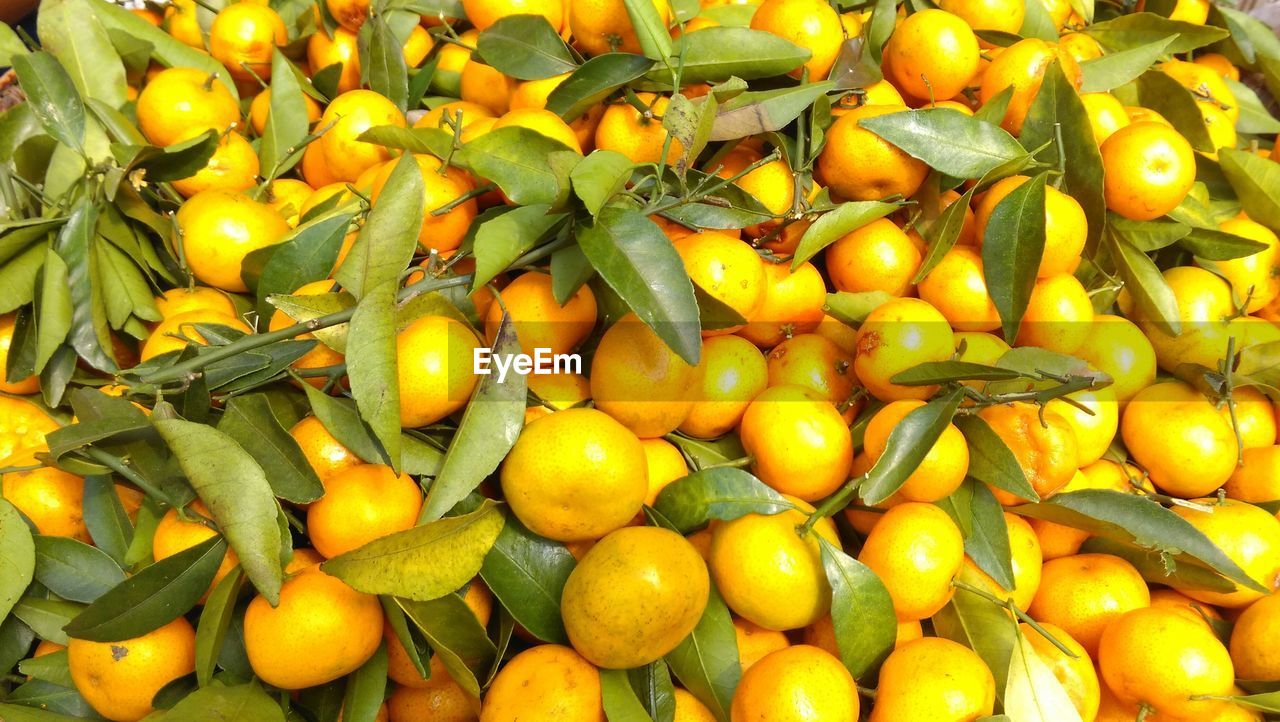 FULL FRAME SHOT OF YELLOW VEGETABLES