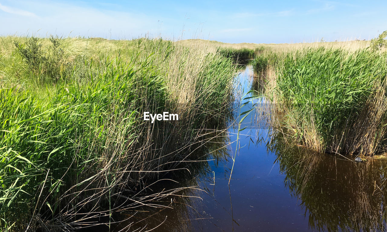 PANORAMIC VIEW OF AGRICULTURAL FIELD AGAINST SKY