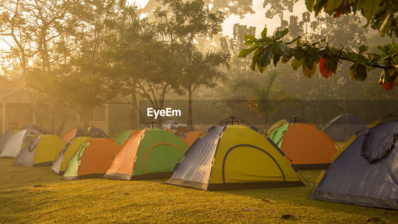 VIEW OF TENT IN PARK